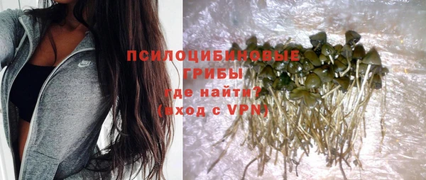 гидра Абдулино