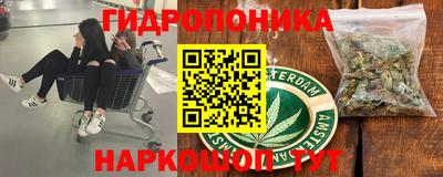гашик Кулебаки