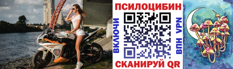 Псилоцибиновые грибы прущие грибы  Кашира 