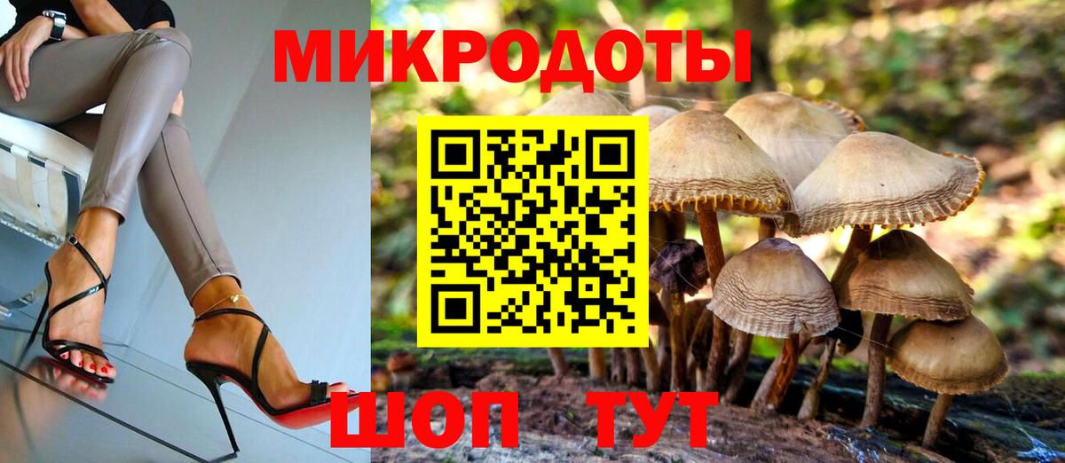 закладки  Псилоцибиновые грибы Psilocybine cubensis  Вход с VPN  Кашира 